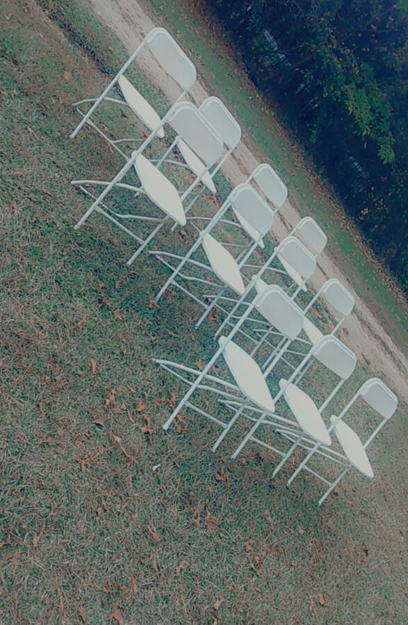White Wedding Chairs