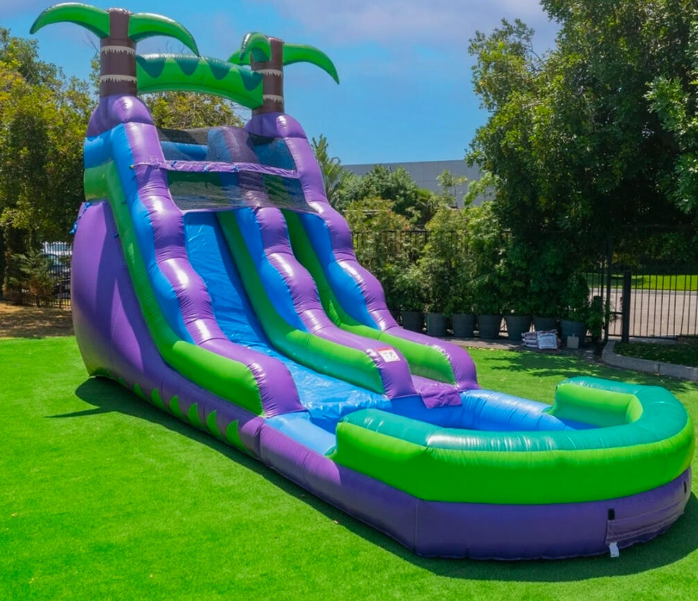 Purple Water Slide Wet / Dry