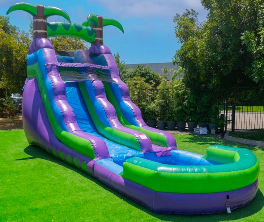 Purple Water Slide (Wet or Dry)
